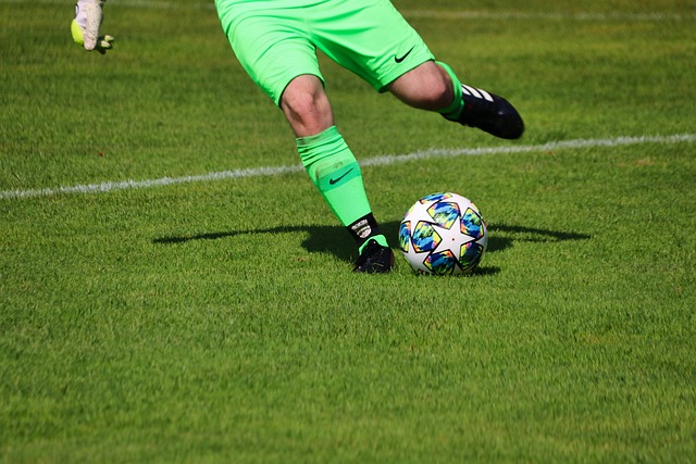 国际社会的 国际社会的