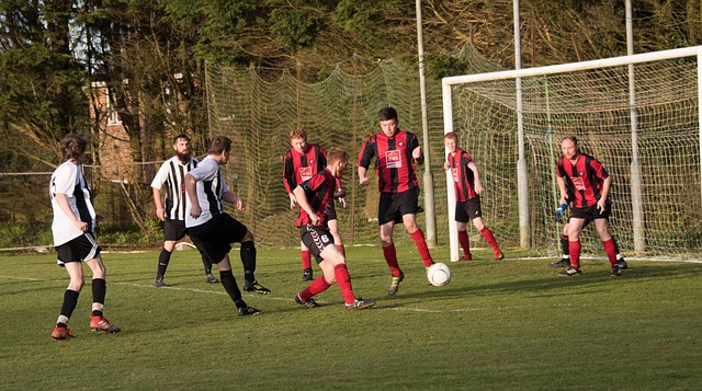 隊征戰綠茵 隊征戰綠茵