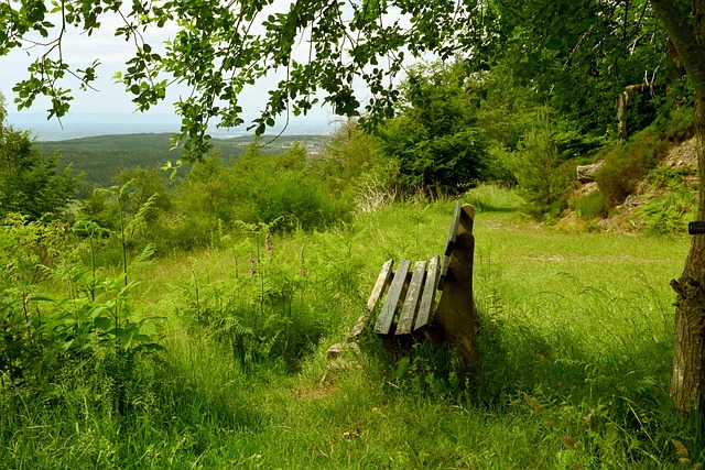 都能从容不 都能从容不