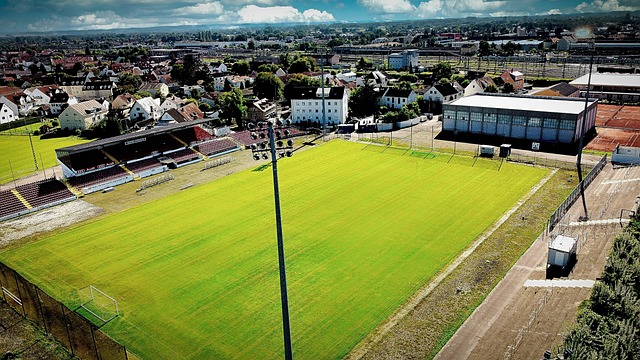 并不少见 并不少见